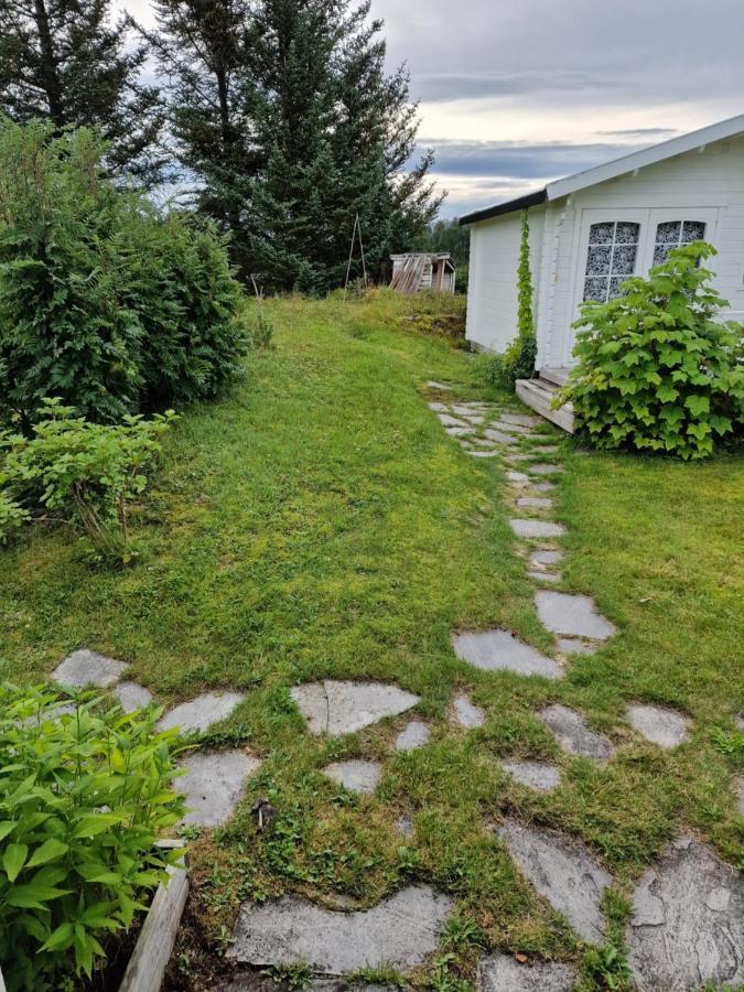 Warm And Cozy Cottage, Great Location Kvaloya Exterior photo